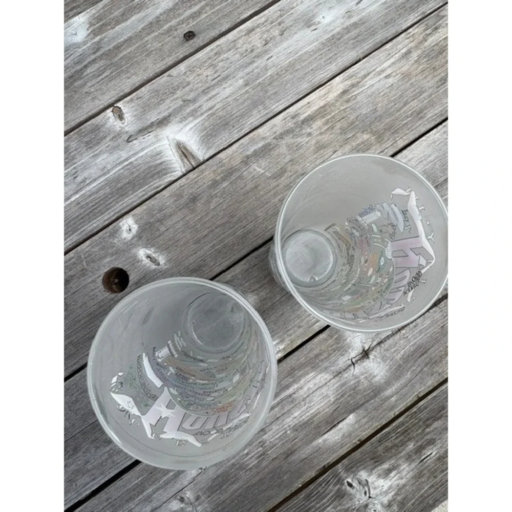 Set of 2 Houston Texas Frosted Highball Glasses City Map Souvenir Tumblers